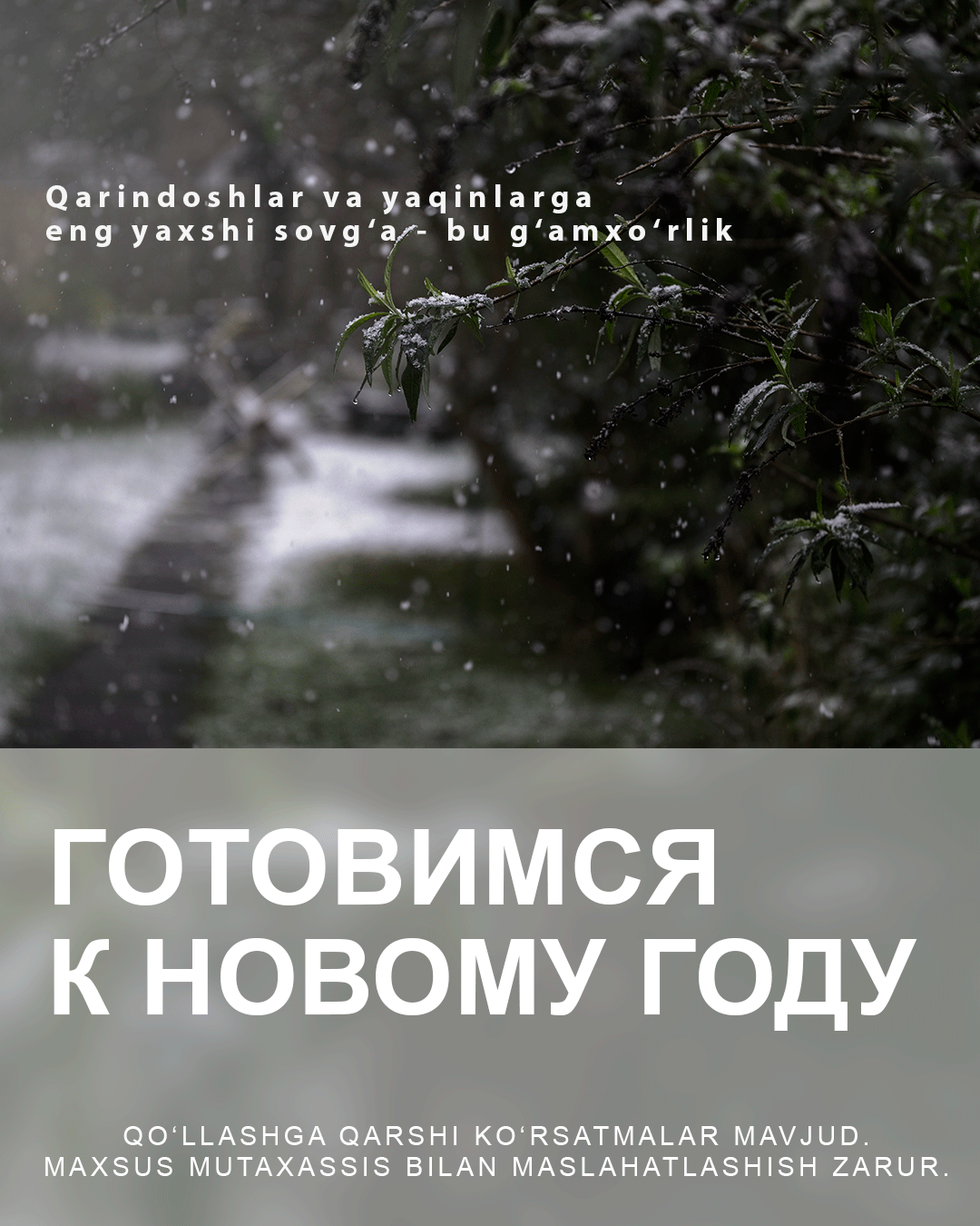 Готовьтесь к Новому Году вместе со Swiss Lab